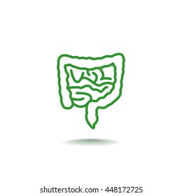  Intestines icon flat.