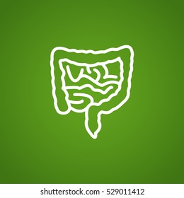  Intestines icon flat.