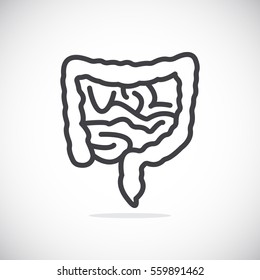  Intestines icon flat.