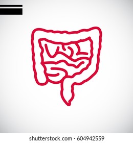  Intestines icon flat.