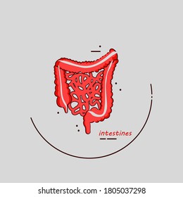 Intestines icon. Human internal organ. Main organ with name. To perform vital functions. Vector line art modern illustration.
