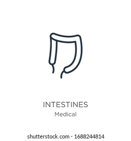 Intestines icon. Thin linear intestines outline icon isolated on white background from medical collection. Line vector sign, symbol for web and mobile