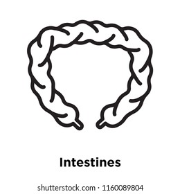 Intestines icon vector isolated on white background, Intestines transparent sign , line and outline elements in linear style