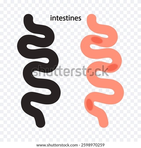 Intestines. Intestinal problems, abdominal disease, microflora, bloating, taking probiotics. Health concept.