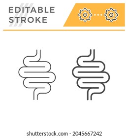 Intestines line icon or digestion system symbol