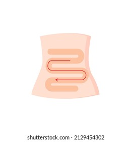 Intestines On A White Background. Diarrhea