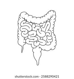 Intestines organ icon line drawing, hand drawn simple organ vector illustration, infographic line, illustration design for school science education.