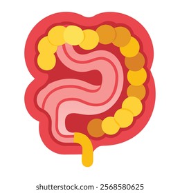 Intestines Organ Vector Illustration - Isolated on White Background