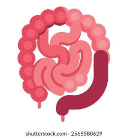 Intestines Organ Vector Illustration - Isolated on White Background