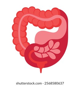 Intestines Organ Vector Illustration - Isolated on White Background