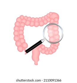 Intestines seeing and protection, Healthy protected intestine. Digestive system protection. Vector stock illustration.
