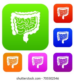 Intestines set icon in different colors isolated vector illustration. Premium collection