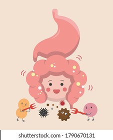 The intestines and stomach of human organs, the effect of probiotics on the digestive tract