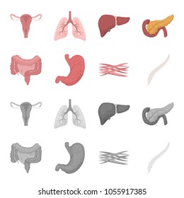 Intestines, stomach, muscles, spine. Organs set collection icons in cartoon,monochrome style vector symbol stock illustration web.