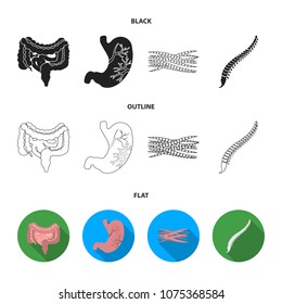 Intestines, stomach, muscles, spine. Organs set collection icons in black,flat,outline style vector symbol stock illustration web.