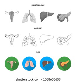 Intestines, stomach, muscles, spine. Organs set collection icons in flat,outline,monochrome style vector symbol stock illustration web.