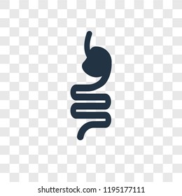Intestines vector icon isolated on transparent background, Intestines transparency logo concept
