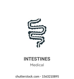 Intestines vector icon on white background. Flat vector intestines icon symbol sign from modern medical collection for mobile concept and web apps design.