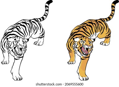 Intimidating tiger, intimidating white tiger