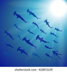 Into the pacific - vector illustration