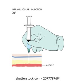 Intramuscular injection. Effective methods of administration of drugs and other medical solutions that are used for humans and animals. Vector illustration isolated on white background.