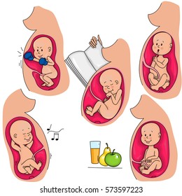 Intrauterine life. The fetus in the mother's womb. Incubation.