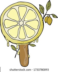 intresting illustration of a juicy lemon on a stick.vector illustration.