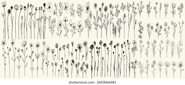 Intricate black line art of wild water avens, trendy greenery, wildflower collection, feminine botanical floral branch for rustic wedding invitations, eco-conscious decor, chic stationery