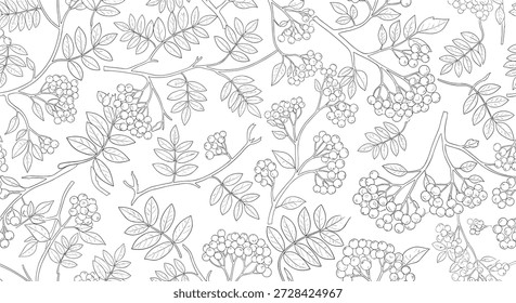 Intricado padrão botânico preto e branco mostrando aglomerados de bagas de rowan e folhas detalhadas em um estilo clássico de esboço para papel de parede.