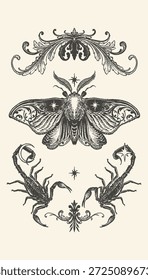 Una intrincada composición en blanco y negro con una polilla, escorpiones e iconos astrológicos en un estilo vintage.
