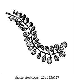 Intricate black and white fern leaf sketch, ideal for botanical designs, natural decor, or minimalist-inspired art projects.