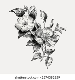 Intricate black and white floral illustration featuring blooming flowers and leaves. Detailed flower design with delicate petals and foliage. Vintage floral illustration isolated on white, vector.