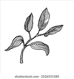 Intricate black and white sketch of a natural branch with leaves, ideal for minimalist interiors or eco-friendly designs. Simple yet stylish nature-inspired art.