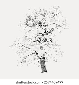 Intricate black and white sketch of a tree with detailed branches and leaves. The tree sketch highlights nature's beauty with its artistic branches and leaves. Vintage art drawing, isolated vector.