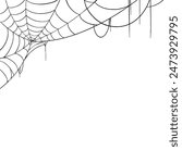Intricate black and white spider web on a clean white background.