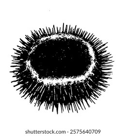 intricate black and white vector illustration of a sea urchin, emphasizing its spiky texture and detailed natural design in a minimalist style.
