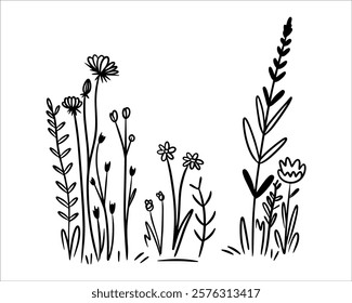 Intricate Doodle Line Art of Wildflowers and Leaves for a Bohemian and Artistic Nature Sketch Theme Vector illustration