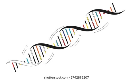 Intricate double helix dna structure with colorful base pairs representing genetics, biology, and scientific research.