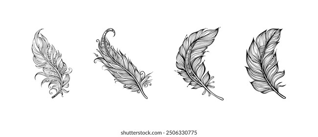 Intricate Feather Illustrations Set of Four. Vector icon design.