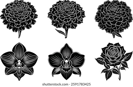 Intricate Floral Vector Pack | Rose, Orchid, Marigold and Botanical Silhouettes for Digital Art