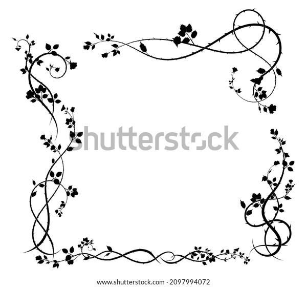 intricate frame rose and vine with leaves plant.\
vector stock image