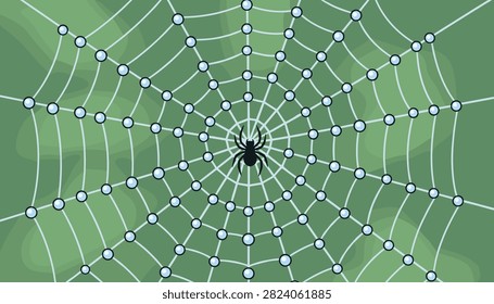Intricate green spider web completely covered in sparkling water droplets with a black spider waiting in the center.
