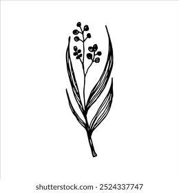Intricate hand-drawn botanical design featuring a detailed branch with leaves, showcasing minimalist style and clean lines for eco-conscious, nature-themed artwork.