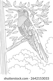 Intricate Hummingbird Line Art for Coloring, Black and white line art illustration of a hummingbird perched on a branch, featuring intricate patterns and decorative details, perfect for adult