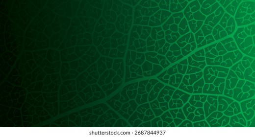 Padrão intrincado de veia foliar exibindo uma textura orgânica natural, passando de verde profundo para verde brilhante, criando um fundo biológico vibrante.