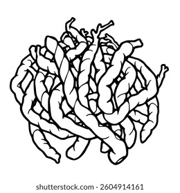 Intricate Line Drawing Of Twisted Knotted Seaweed