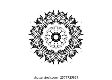 Intricate Mandala Art with Star Center and Concentric Radiating Details	
