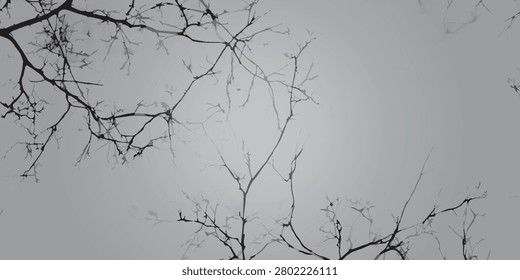 Intricate network of bare tree branches silhouetted against a soft, overcast sky, creating a stark and minimalist natural pattern in black and white.