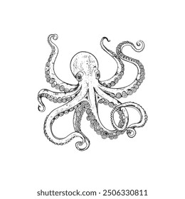 Intricate Octopus Illustration in Detailed Line Art. Vector icon design.