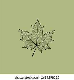 Intricate outline of a maple leaf against a soft green background, showcasing nature's details